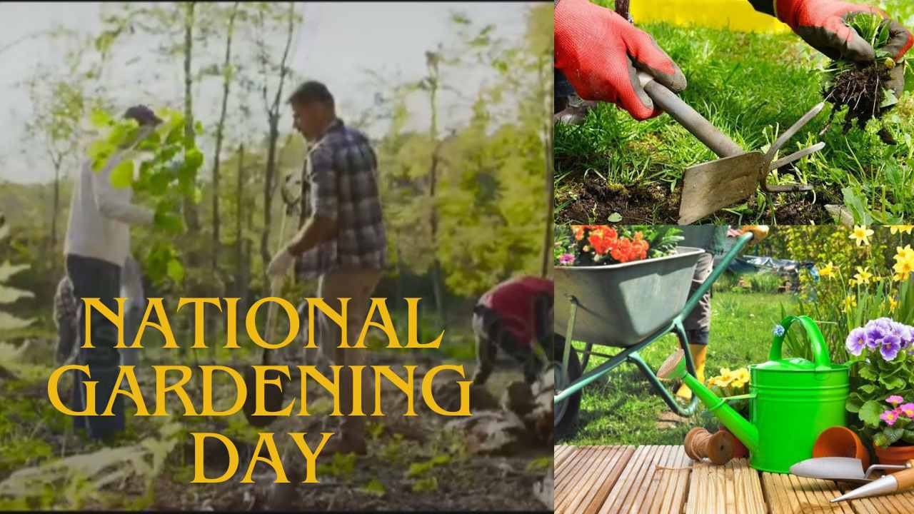 when is National Gardening Day